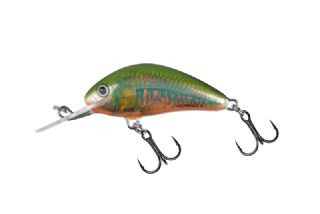 Salmo Hornet Floating 3.5cm - 